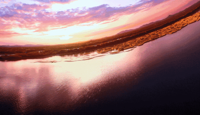 18.gif