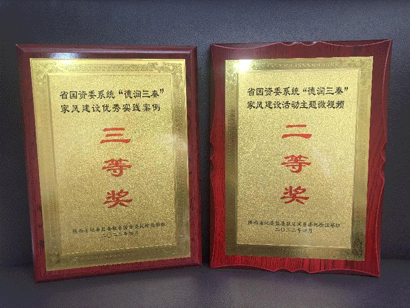 依托演艺项目 传递良好家风 —白鹿原影视城获“德润三秦”家风建设活动奖项