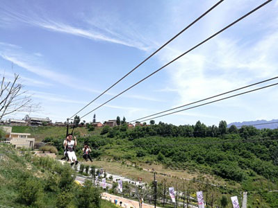 Zip Line