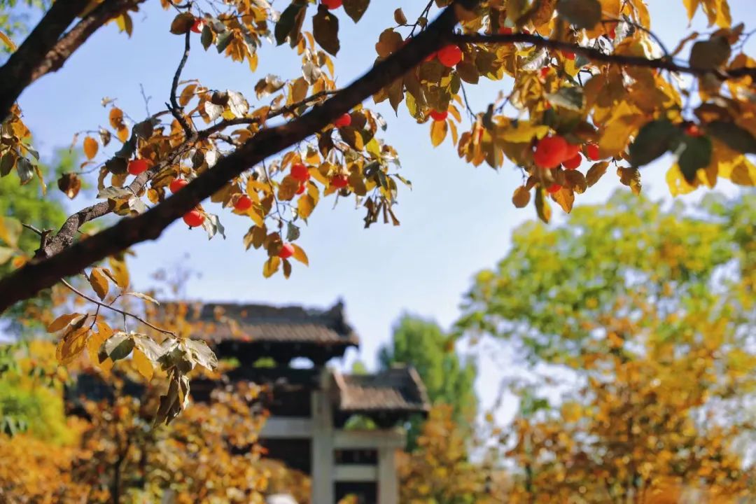 周末出游首选地 | 有诗和远方的白鹿原影视城一定不会让你失望！