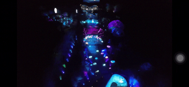 27.gif