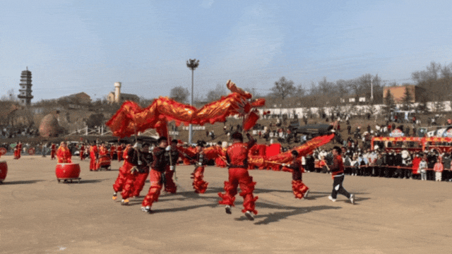 5.gif