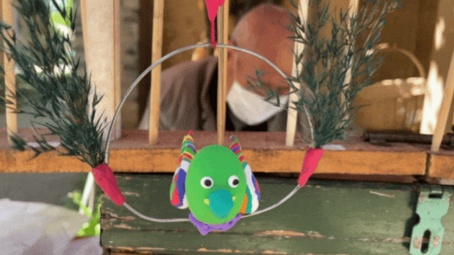 11.gif