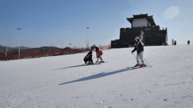 15.gif