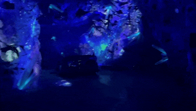 14.gif