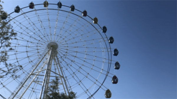 24.jpg