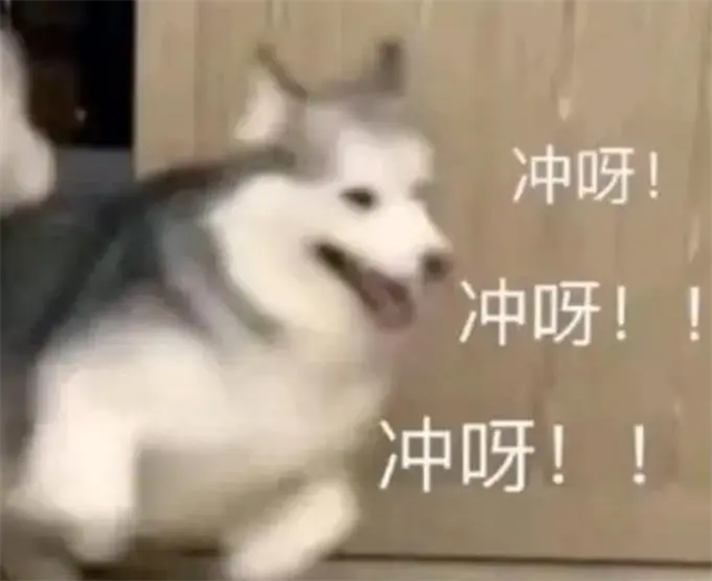 10.webp.png